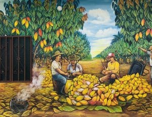 Arauquita-Mural-Cacao