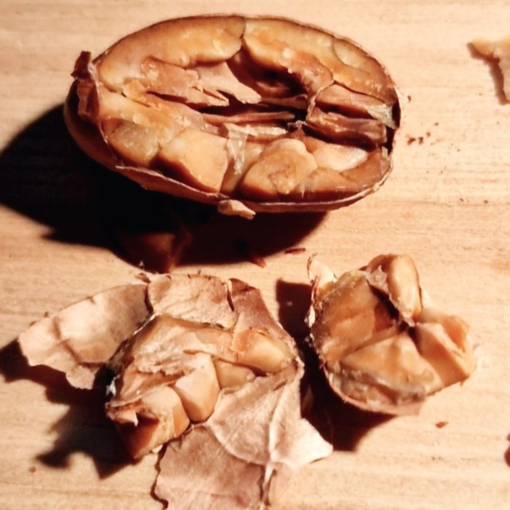 Level 1 & 2 Certificate in Cacao Evaluation and Flavour Profiling, 8 Sep 2023, Ping Tung