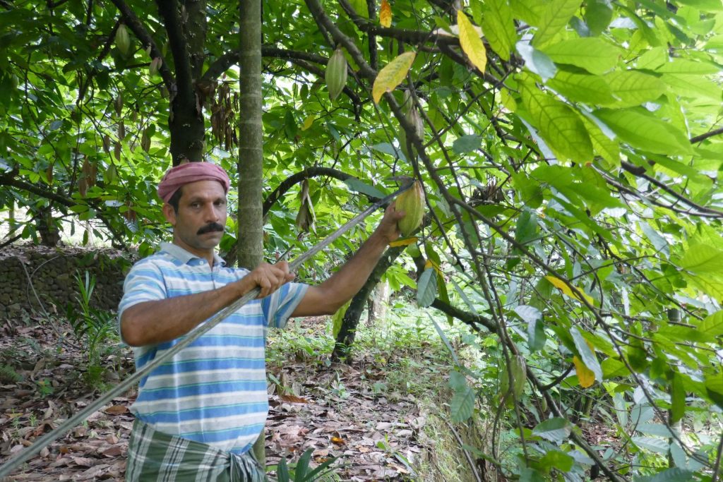 Level 3 Certificate in Chocolate Tasting, 20 Apr 2026, India