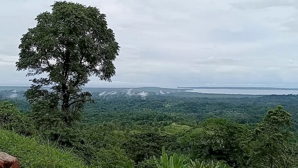 Certificado Combinado de los Niveles 1 Plus y 2 en Cata de Chocolate, 26 Jan 2026, Bocas del Toro